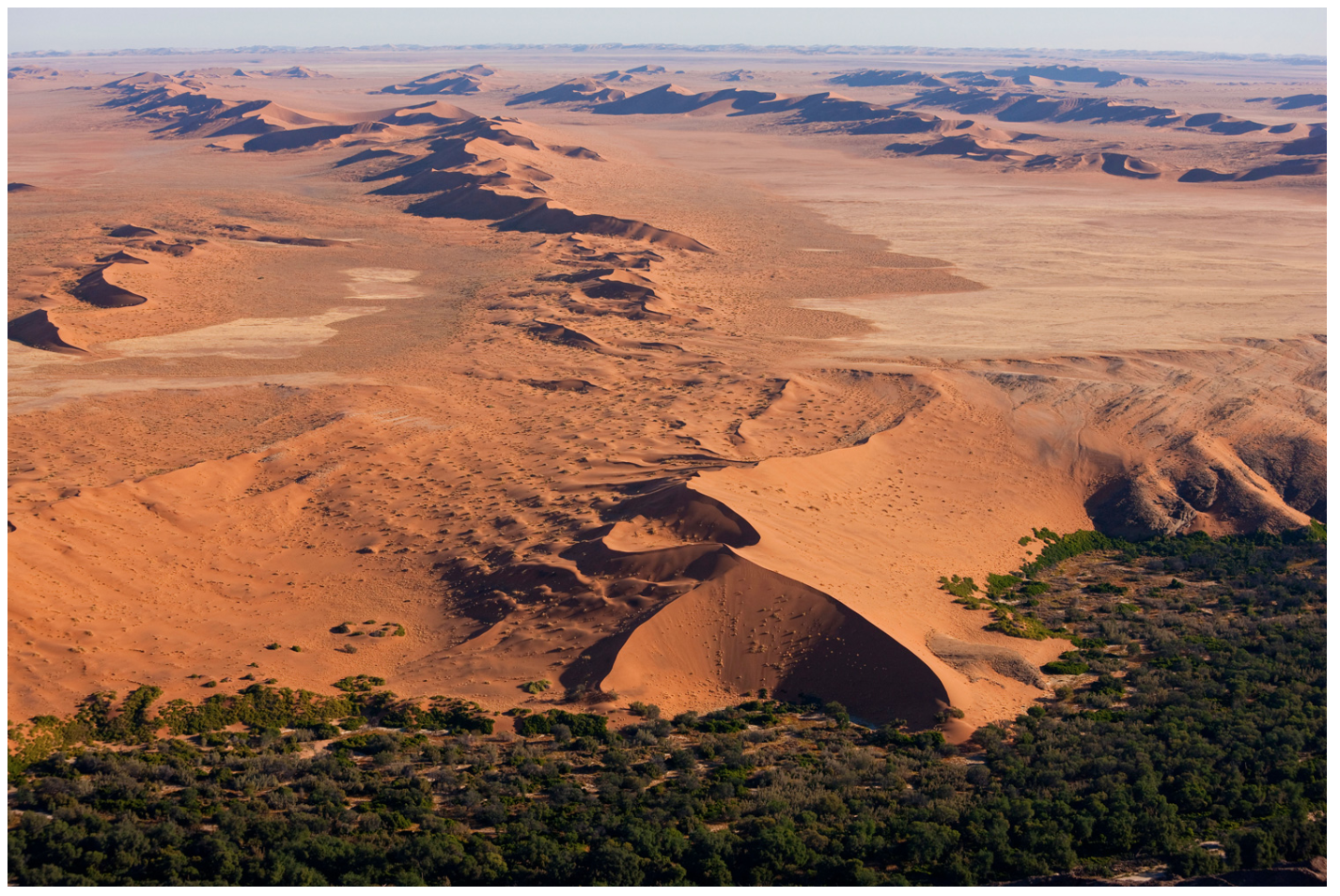 Screen Shot 2019-01-28 at 11.36.00 am