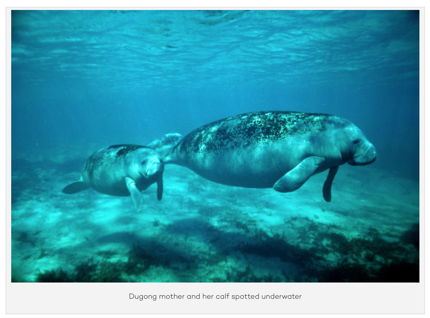 Screen Shot 2019-01-28 at 11.44.59 am