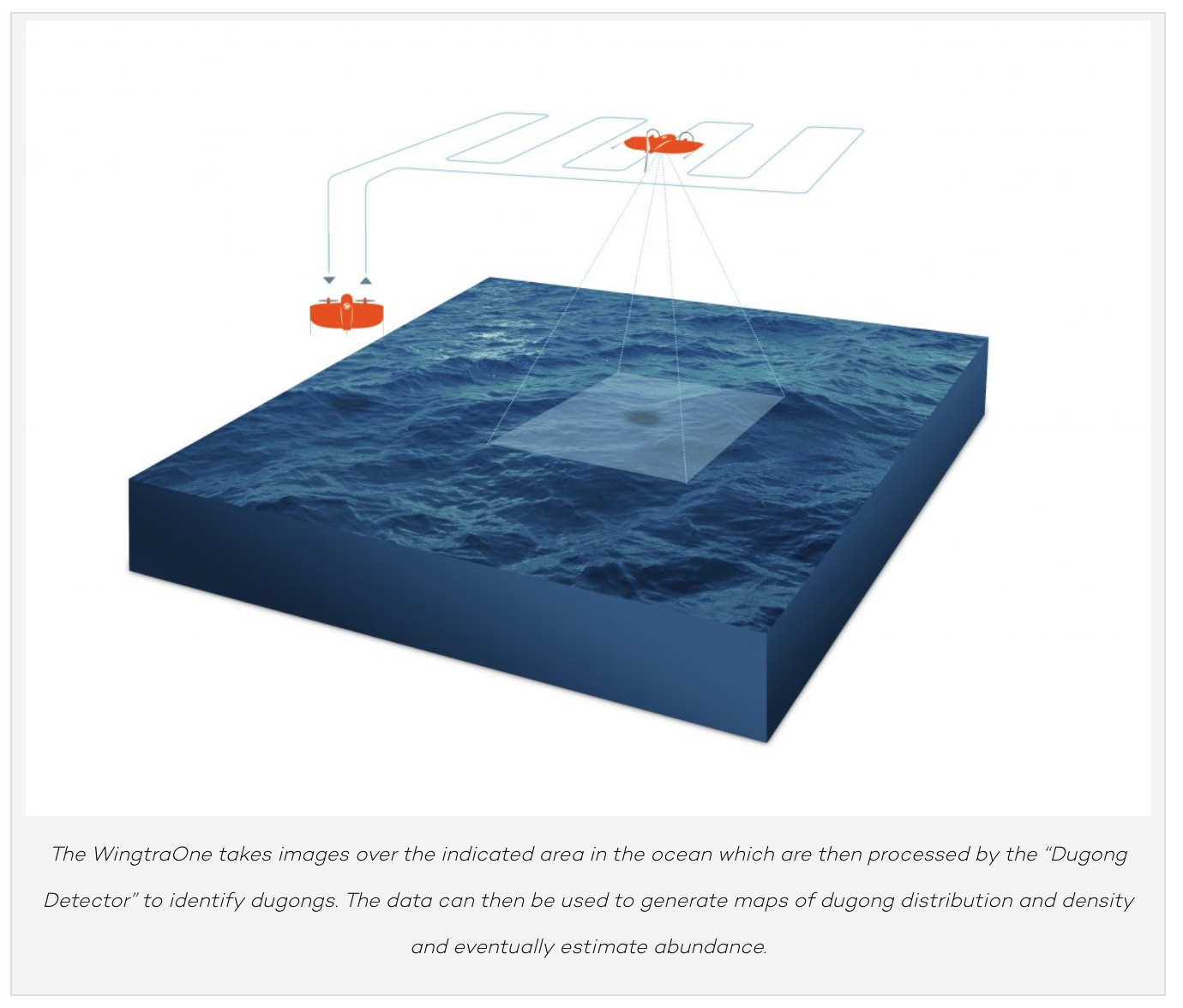 Screen Shot 2019-01-28 at 11.45.13 am
