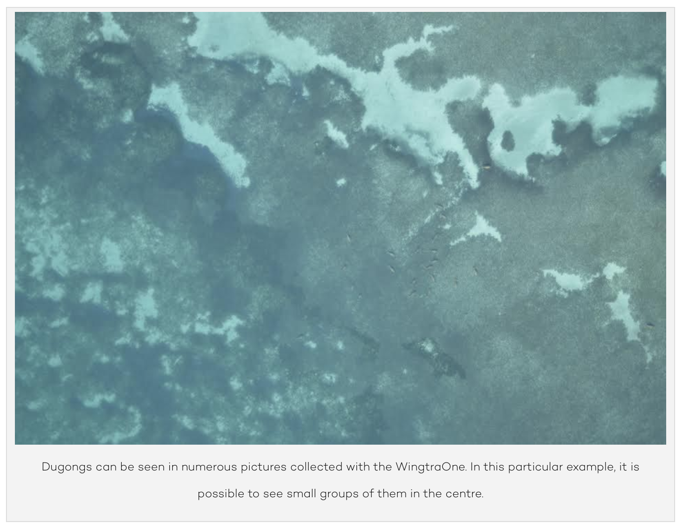 Screen Shot 2019-01-28 at 11.45.25 am