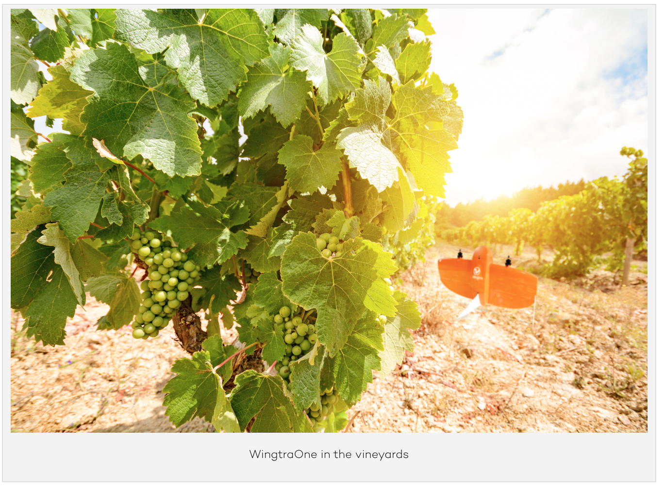 Screen Shot 2019-01-28 at 11.56.08 am