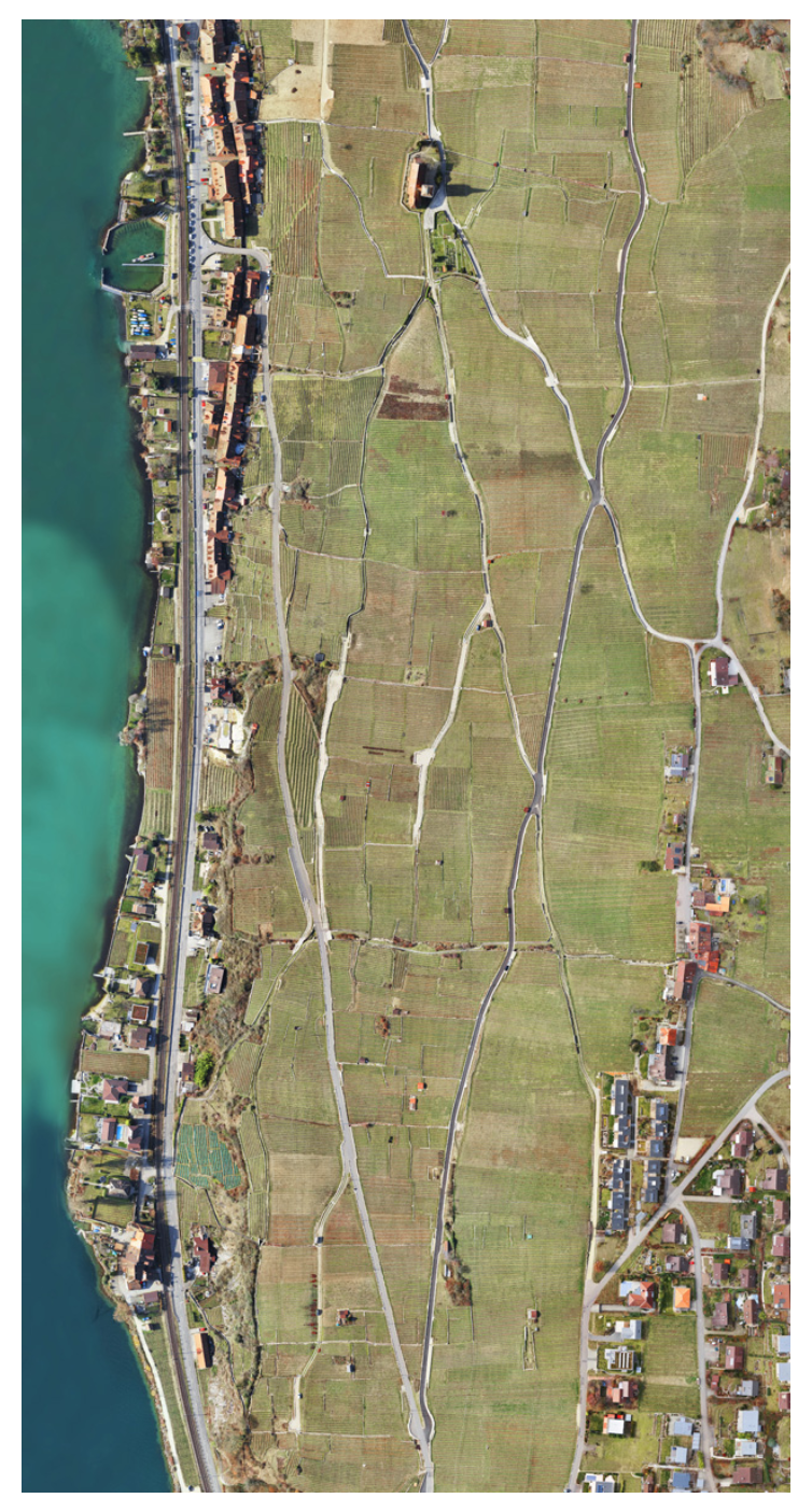 Screen Shot 2019-01-28 at 11.56.20 am