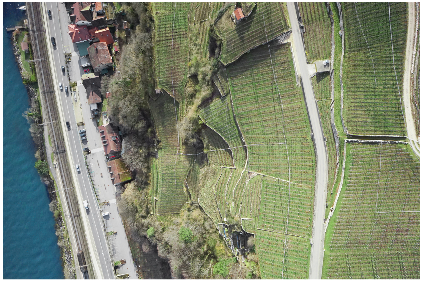 Screen Shot 2019-01-28 at 11.56.27 am